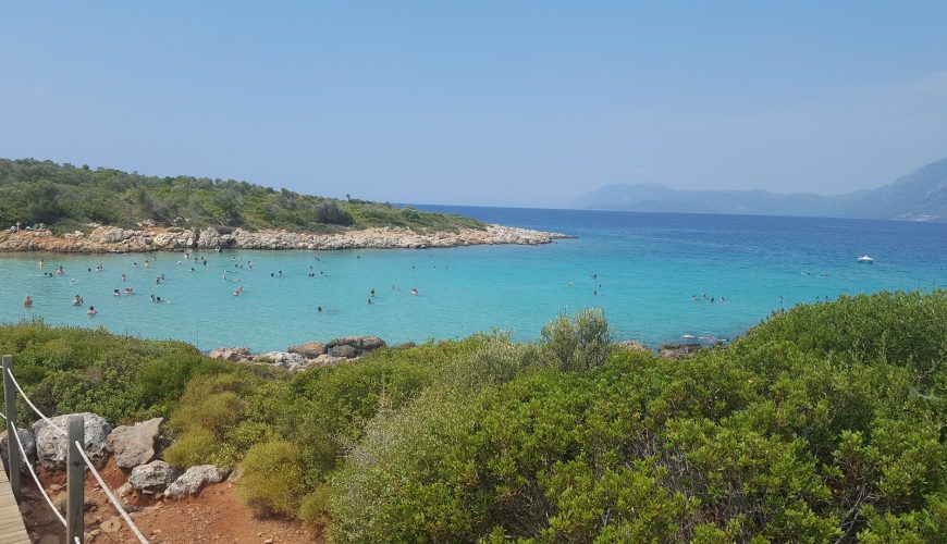 Yapılacak Yeni Şeyler Keşfet!