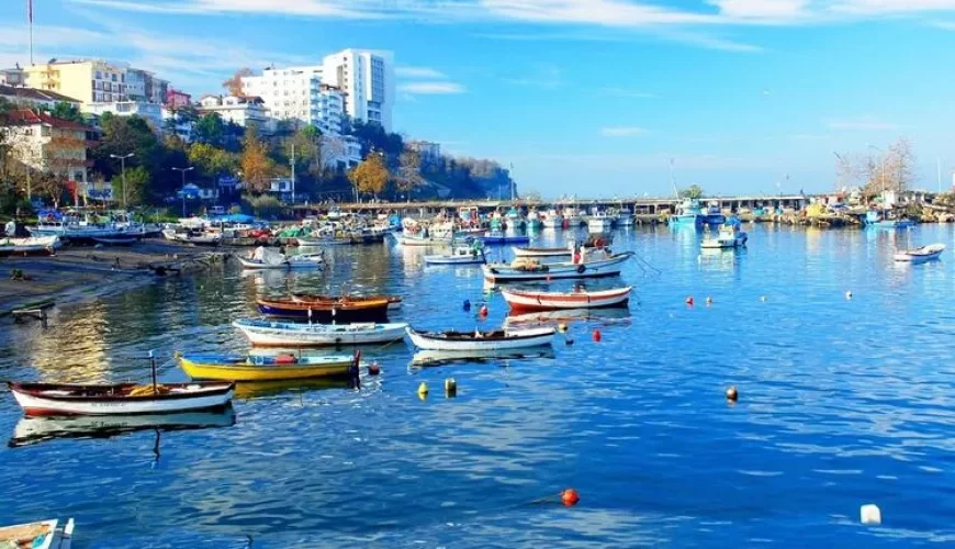 Yapılacak Yeni Şeyler Keşfet!
