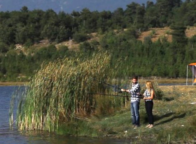 Yapılacak Yeni Şeyler Keşfet!